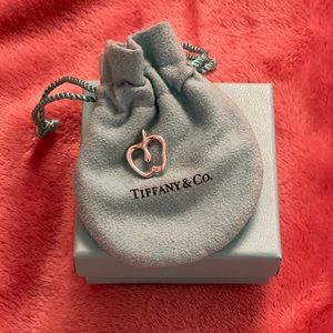 Tiffany & Co Silver Apple Pendant